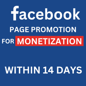 Facebook monetization service