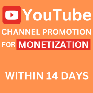 Youtube monetization service